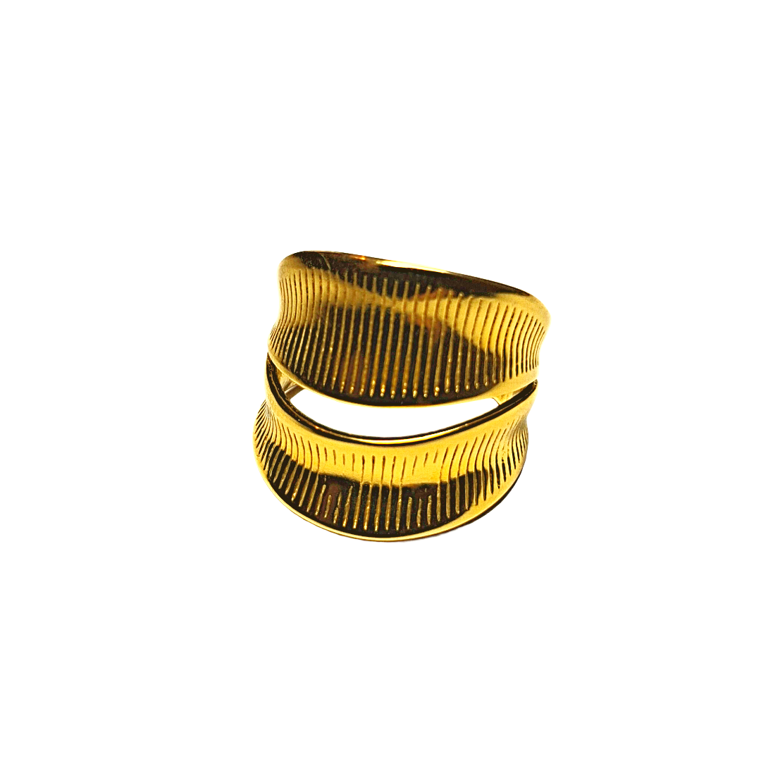 ANELLO GAP
